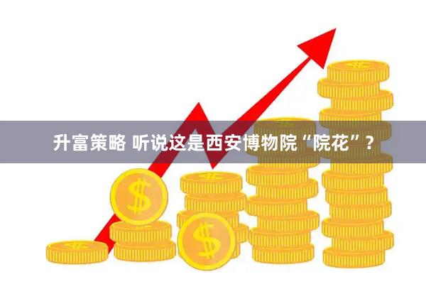 升富策略 听说这是西安博物院“院花”？
