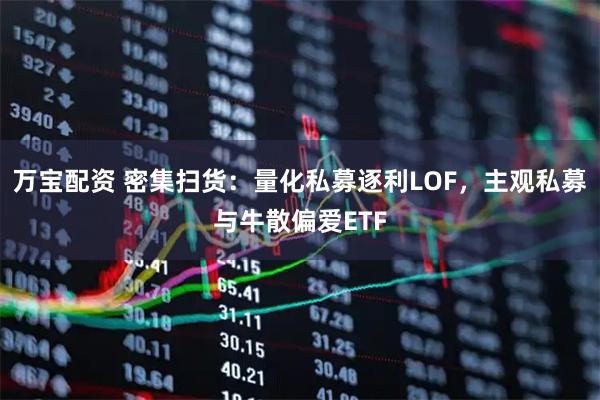 万宝配资 密集扫货：量化私募逐利LOF，主观私募与牛散偏爱ETF