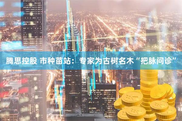 腾思控股 市种苗站：专家为古树名木“把脉问诊”