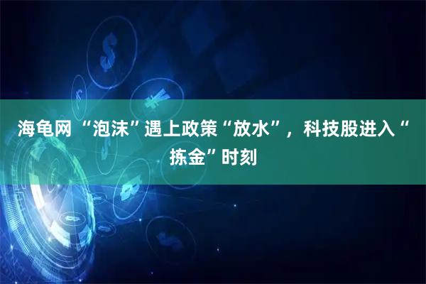 海龟网 “泡沫”遇上政策“放水”，科技股进入“拣金”时刻