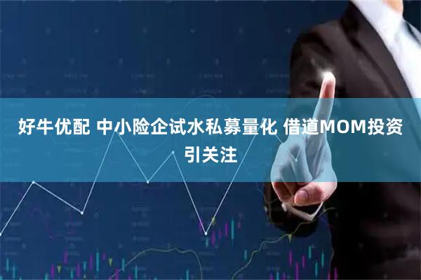 好牛优配 中小险企试水私募量化 借道MOM投资引关注