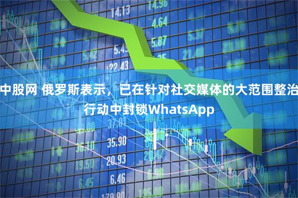 中股网 俄罗斯表示，已在针对社交媒体的大范围整治行动中封锁WhatsApp