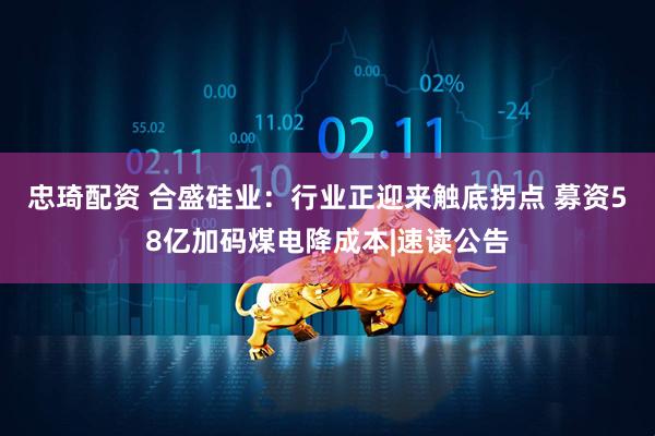 忠琦配资 合盛硅业：行业正迎来触底拐点 募资58亿加码煤电降成本|速读公告