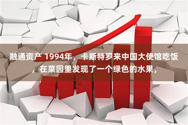 融通资产 1994年,卡斯特罗来中国大使馆吃饭,在菜园里发现了一个绿色的水果,