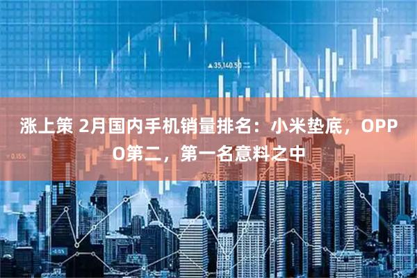 涨上策 2月国内手机销量排名：小米垫底，OPPO第二，第一名意料之中