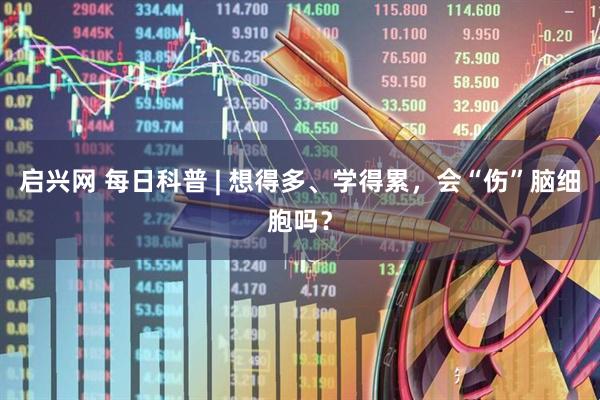 启兴网 每日科普 | 想得多、学得累,会“伤”脑细胞吗?